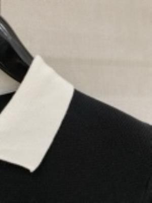 wholesale quality men ralph lauren polo shirts model no. 2818